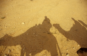 Ein Schatten meiner selbst (und meines Kamels)